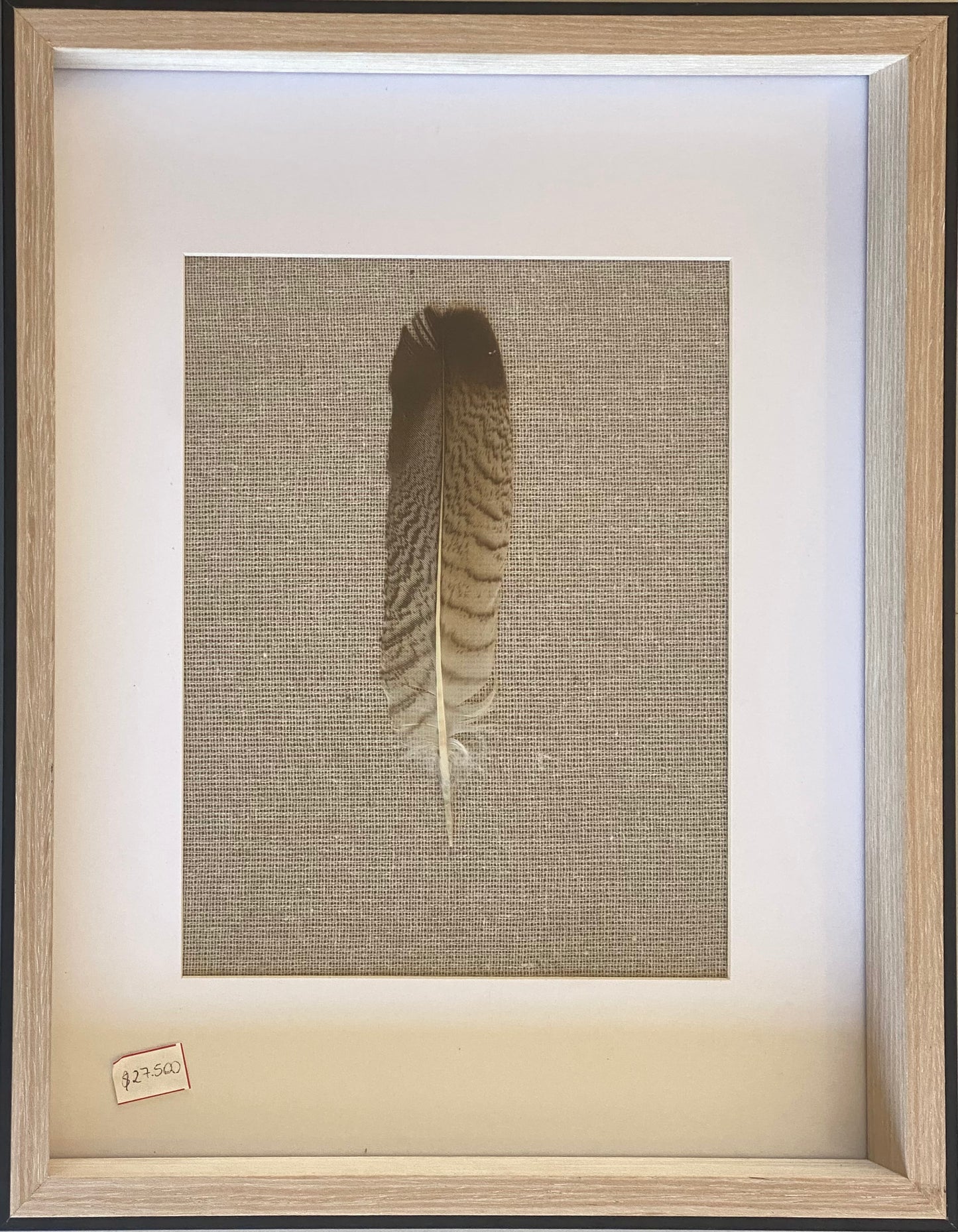 PLUMA NATURAL