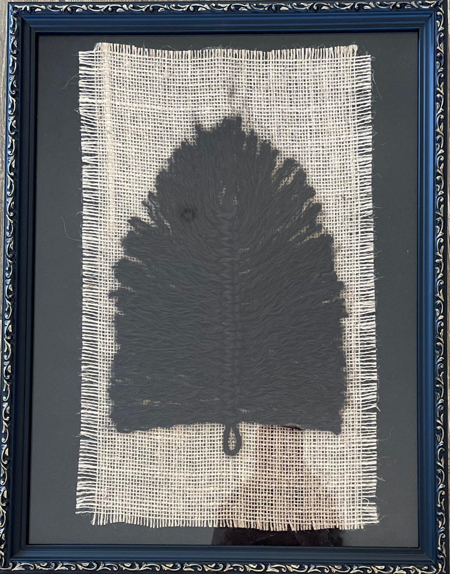 Pluma Negra
