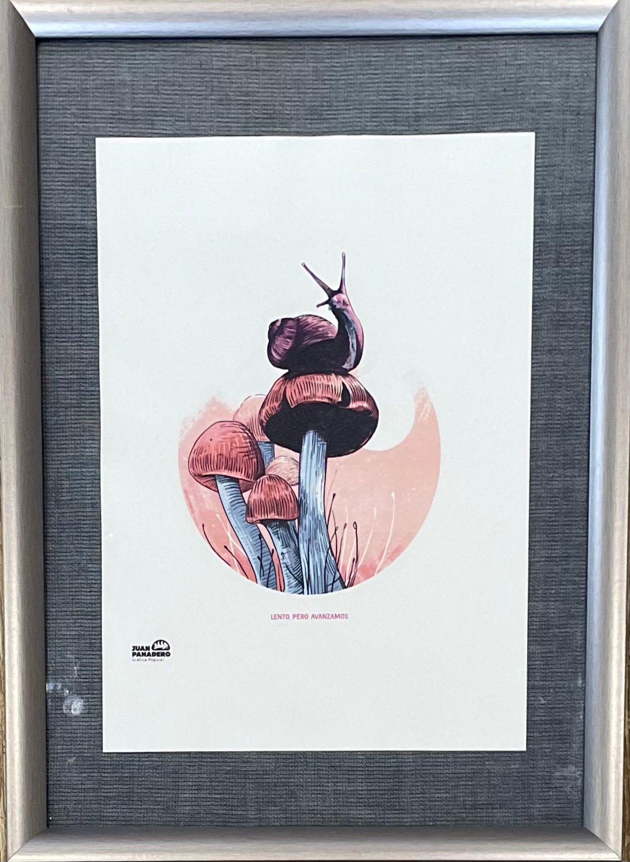 Caracol, lento pero avanzamos